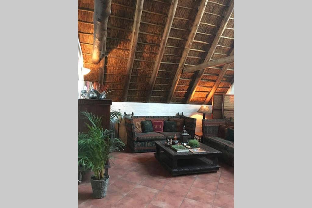 Pantera Lodge&Cheetah Cottage Johannesburg Esterno foto