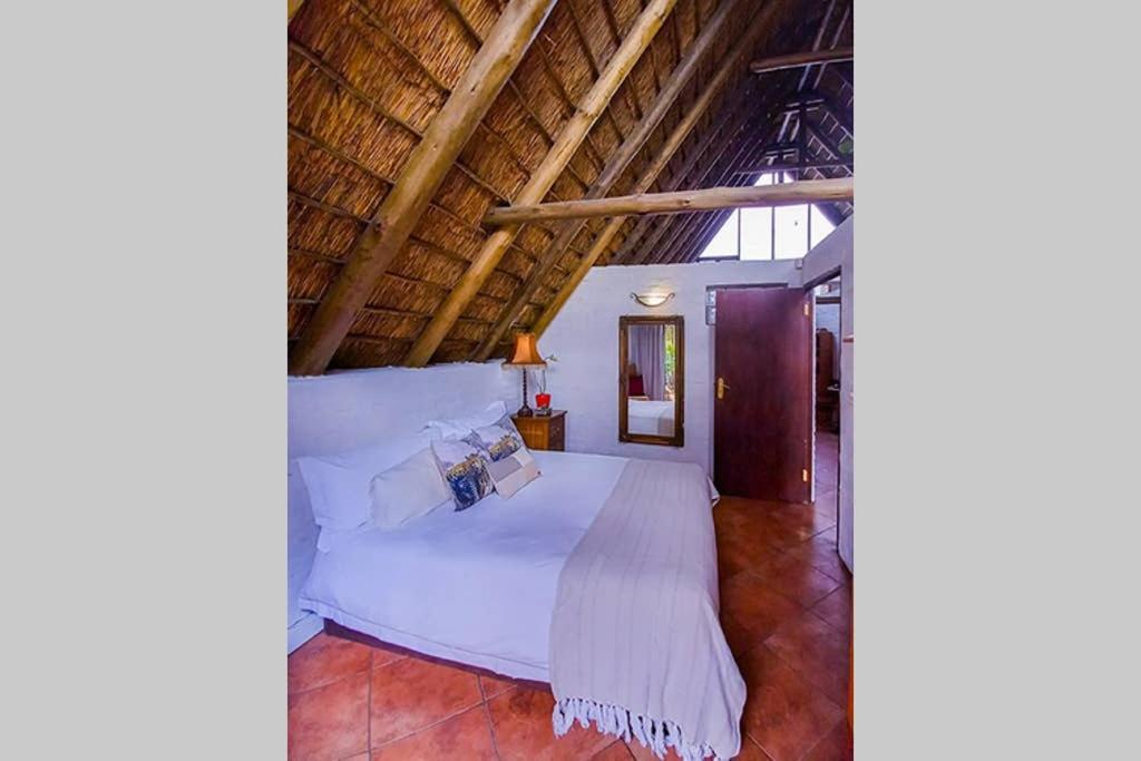 Pantera Lodge&Cheetah Cottage Johannesburg Esterno foto