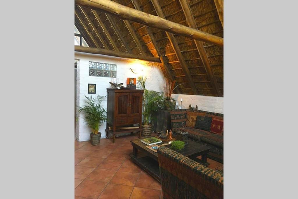 Pantera Lodge&Cheetah Cottage Johannesburg Esterno foto